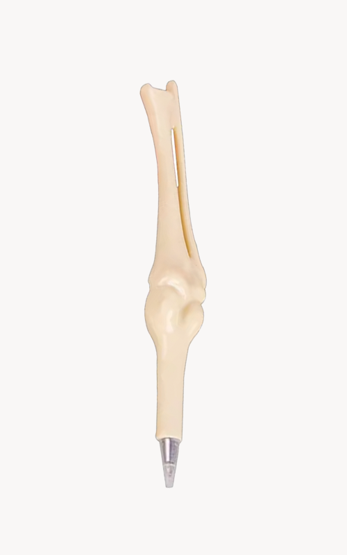 قلم العظام~BONE PEN